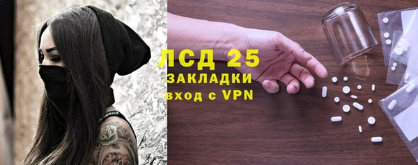 хмурый Арсеньев