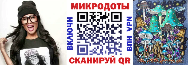 Псилоцибиновые грибы Cubensis как найти Лихославль